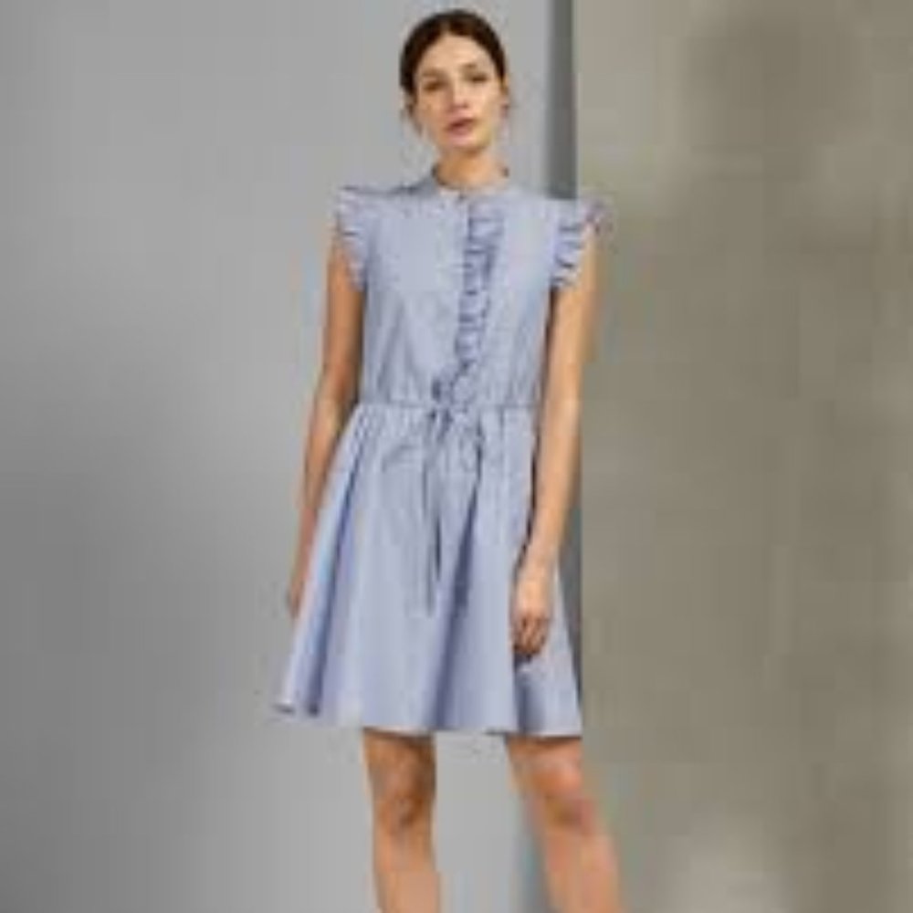 Ted Baker Beyonc Dress, Size 3 (US Size 8/10)